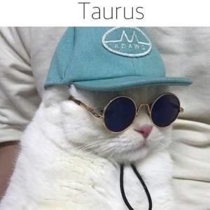 Meet your Posher, Jesse